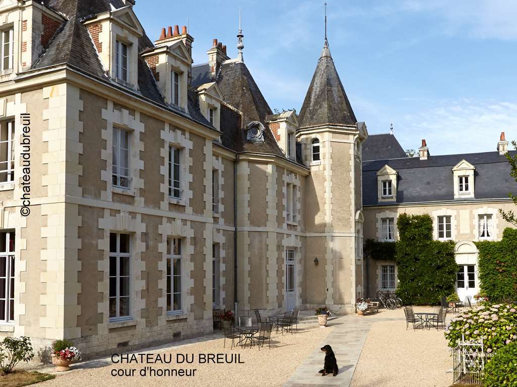 Chateau Du Breuil Cheverny Exterior foto
