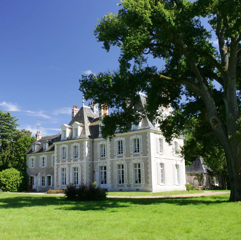 Chateau Du Breuil Cheverny Exterior foto
